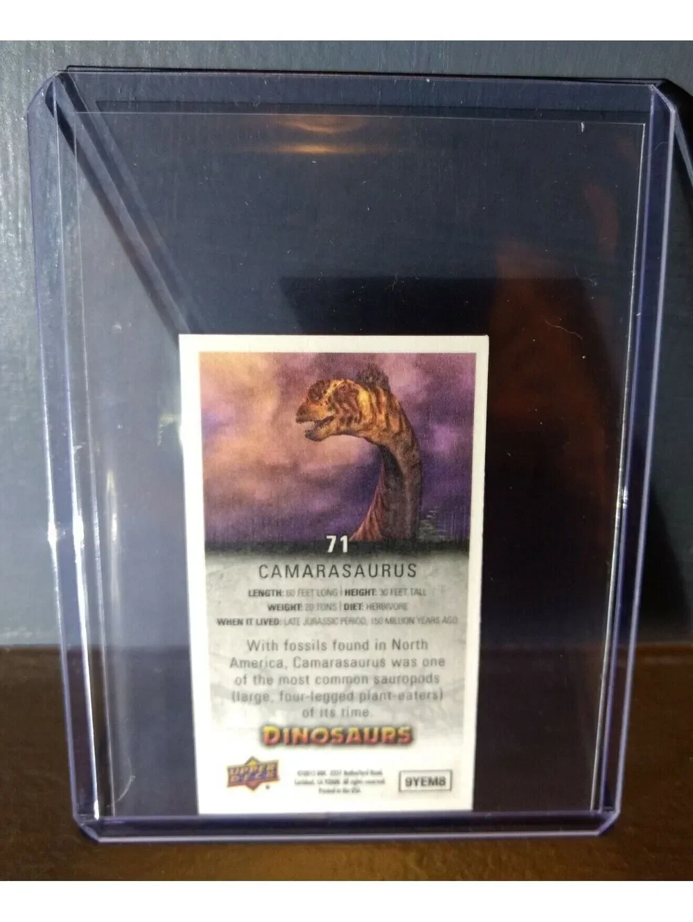 2015 Upper Deck Dinosaurs Canvas Mini Camarasaurus #71 Trading Card